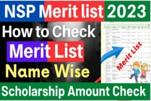 NSP Scholarship 2023 Merit List